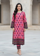 2 Pcs Ladies Suit  Des 13